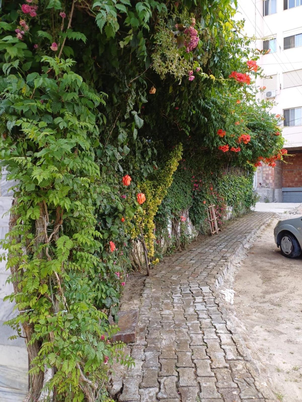 Arben Lägenhet Durrës Exteriör bild